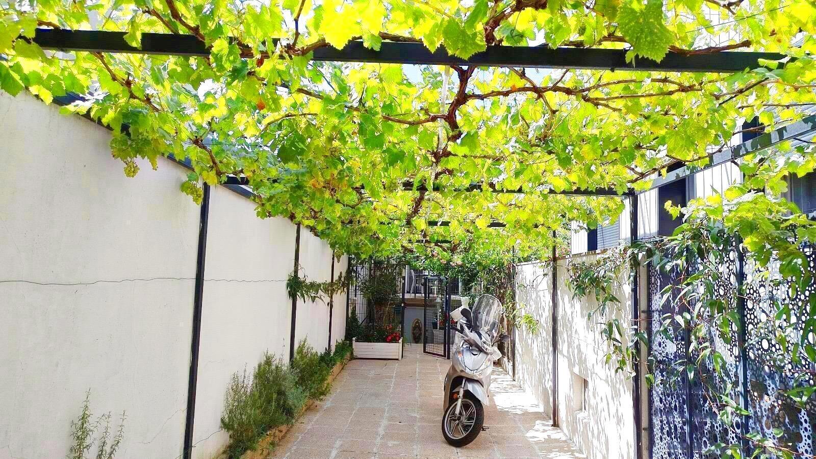 Maison Allée Beausoleil 92140 Clamart | 1150000 €