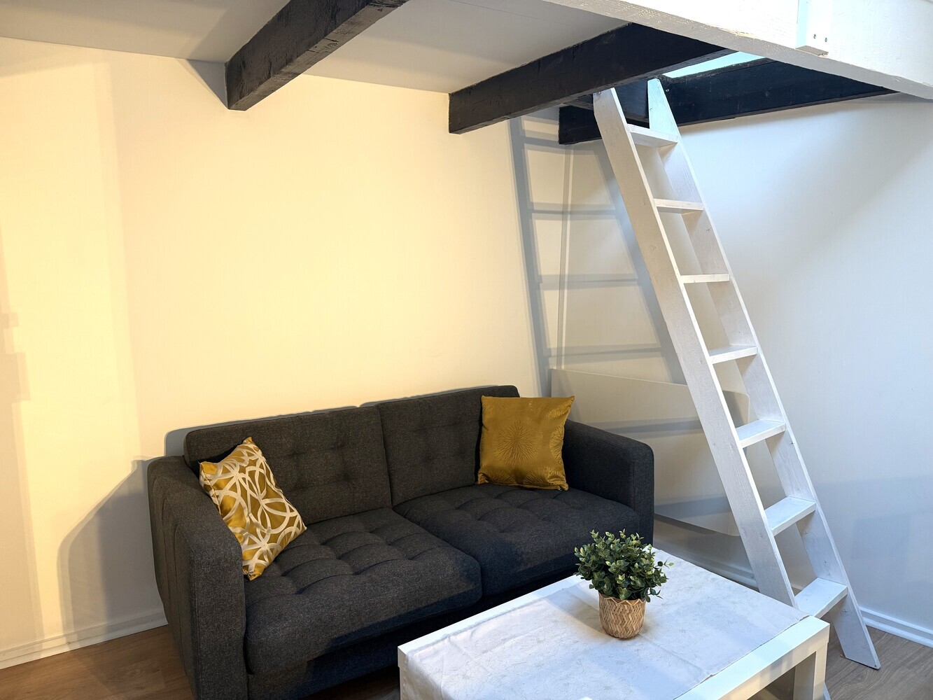 Appartement 92290 Châtenay-Malabry | 850 €